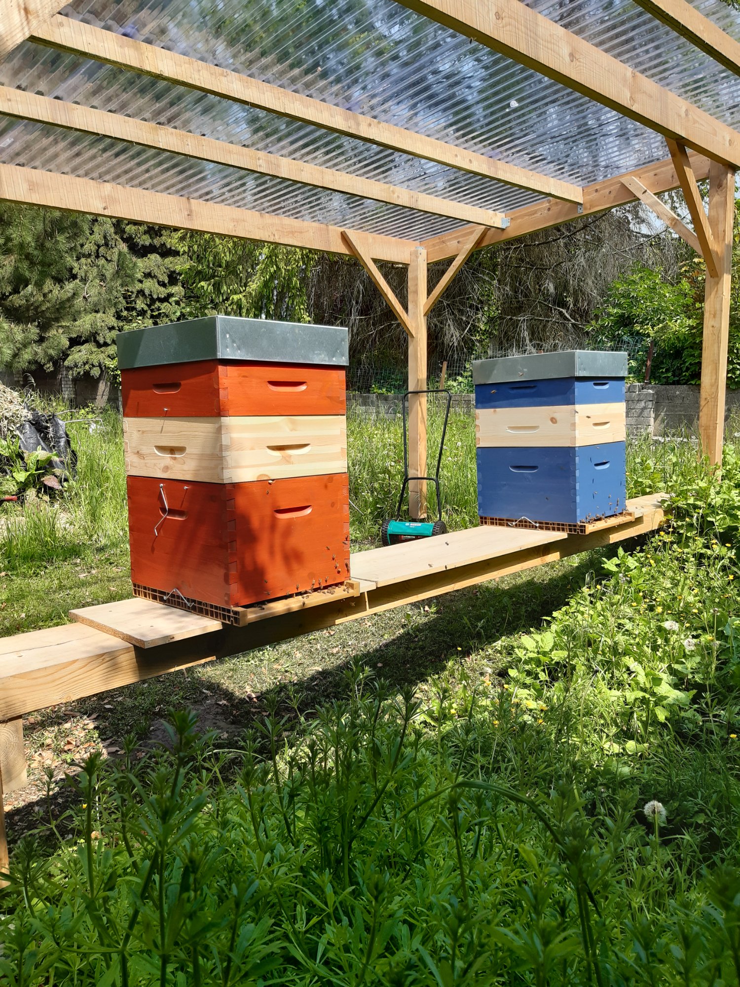 Les deux ruches sous pergola